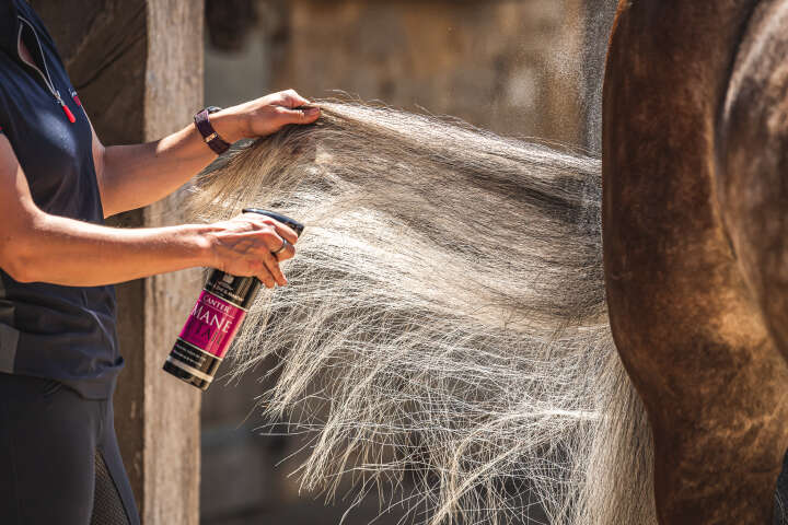 CARR & DAY & MARTIN Canter Mane & Tail Conditioner Spray